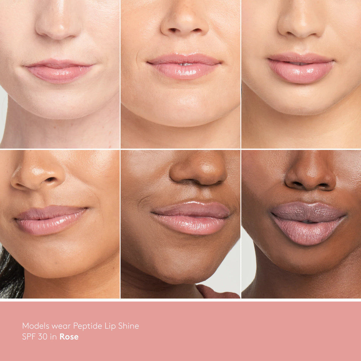 Peptide Lip Shine SPF 30 in Rose applied to the lips